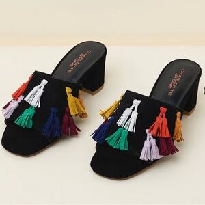 Charlotte Stone Black Mules with Colorful Tassels